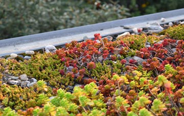 the cost of Gannochy green roof installation