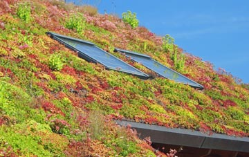 Gannochy living roof systems
